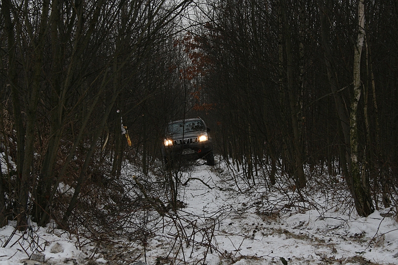 WOSP_Pasternik_2009 020